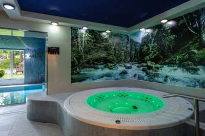 Wellness
